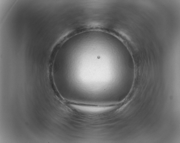 X0000070231309200606091706