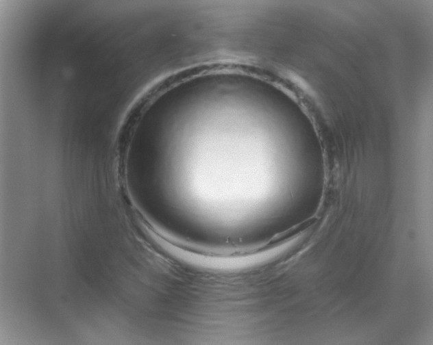 X0000070231310200606091706