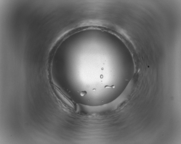 X0000070231312200606091707