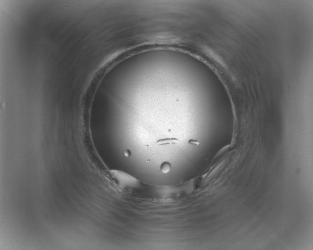 X0000070231315200606091707