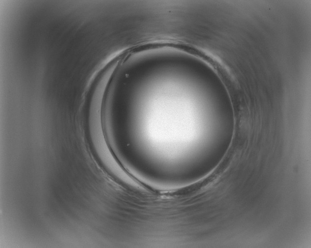 X0000070231317200606091707