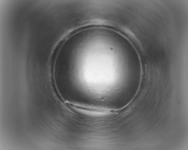 X0000070231318200606091707