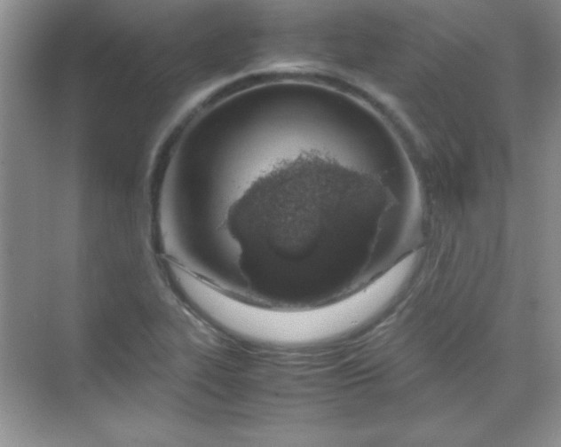 X0000070231319200606091707