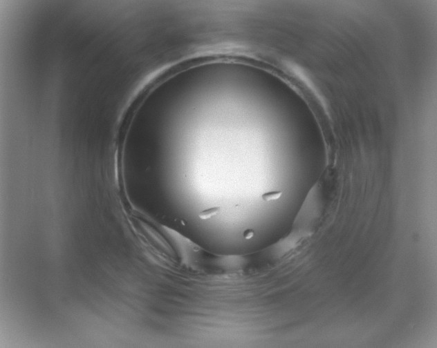 X0000070231320200606091707