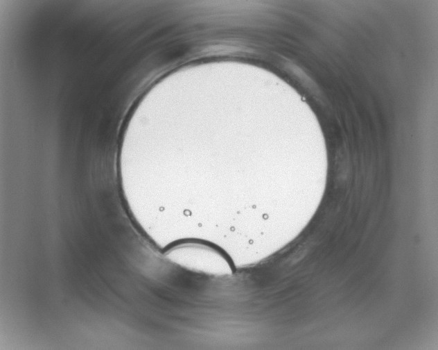 X0000070231322200606091707