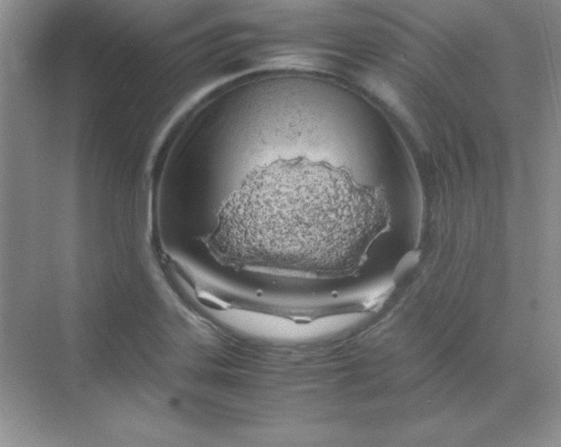 X0000070231323200606091707