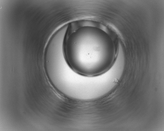 X0000070231324200606091707