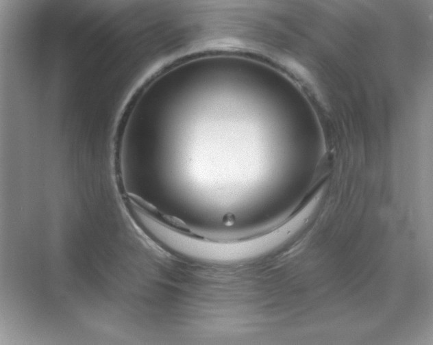 X0000070231326200606091707