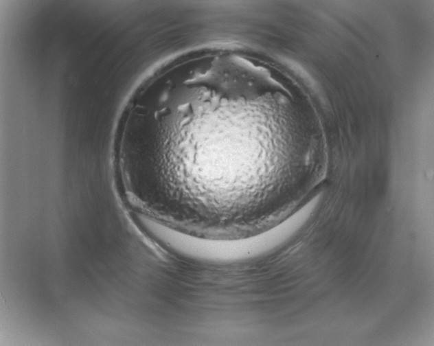 X0000070231327200606091707