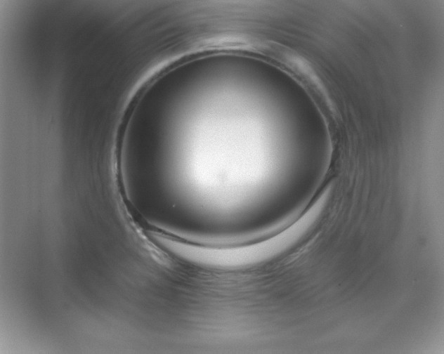 X0000070231328200606091707