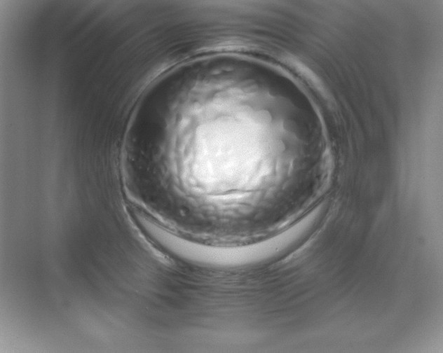 X0000070231329200606091707