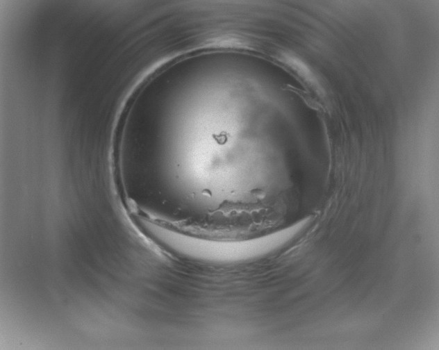 X0000070231331200606091707