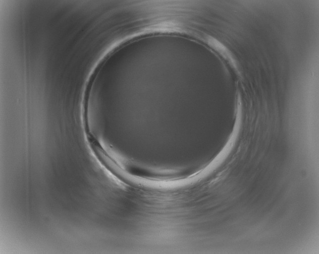 X0000070231334200606091707