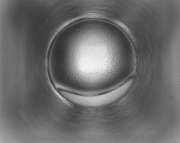 X0000070231335200606091707