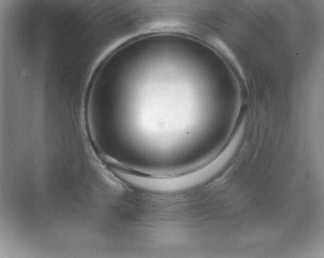 X0000070231336200606091707