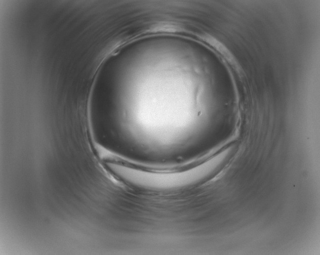 X0000070231337200606091707