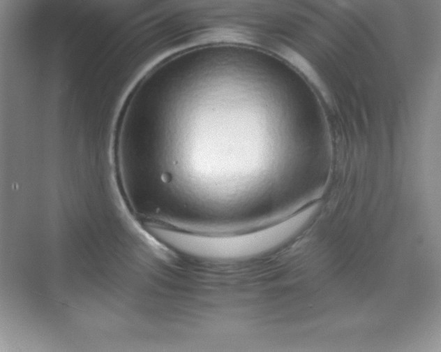 X0000070231339200606091707