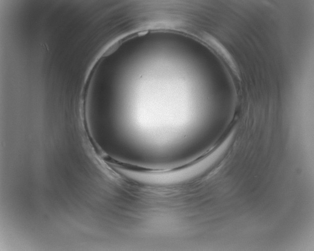 X0000070231340200606091707