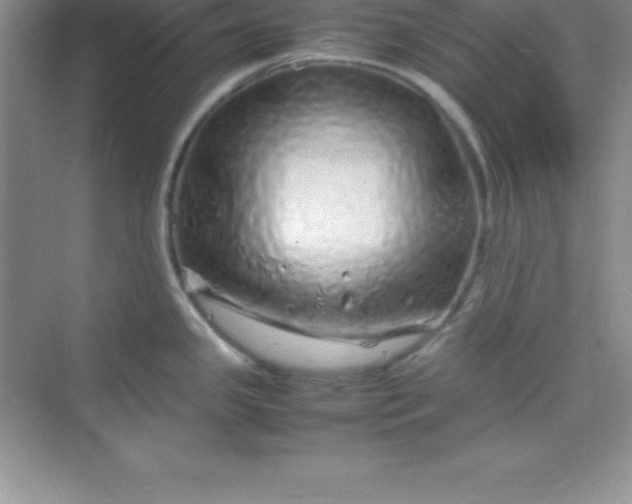 X0000070231341200606091707