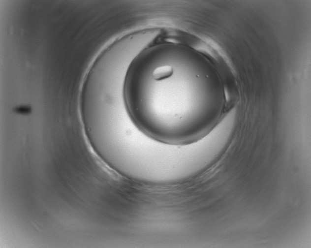 X0000070231342200606091707