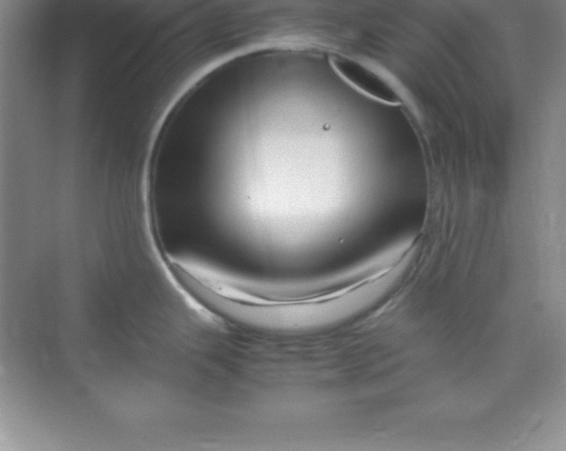 X0000070231343200606091707