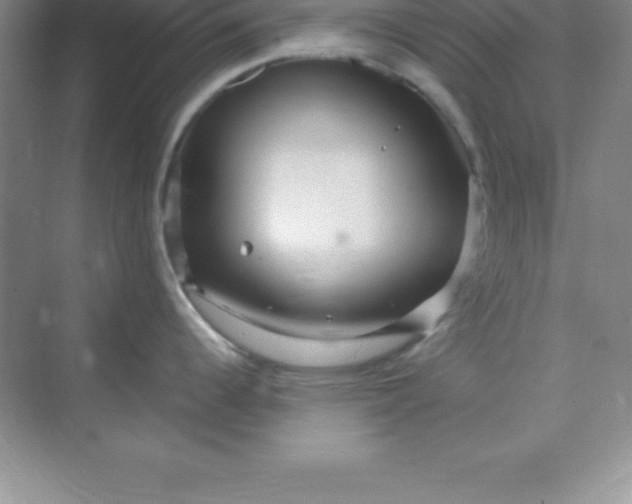 X0000070231344200606091707