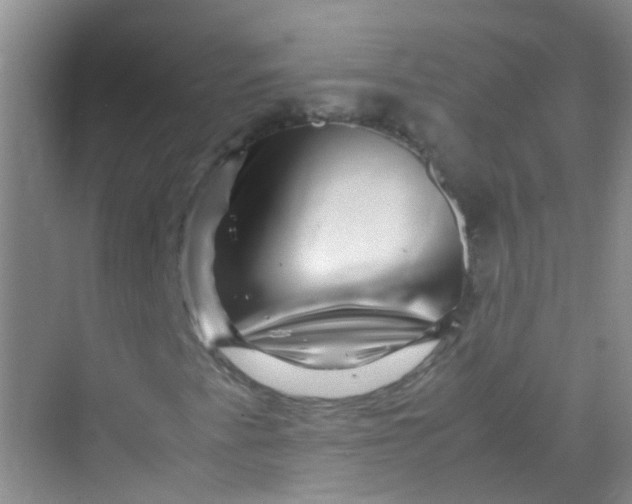 X0000070231345200606091706