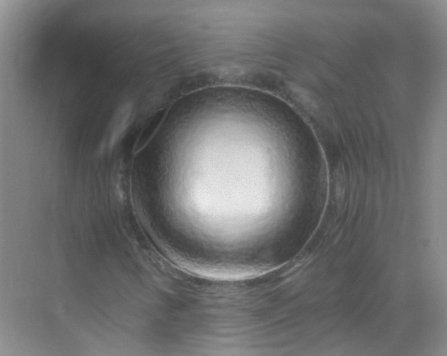 X0000070231346200606091706