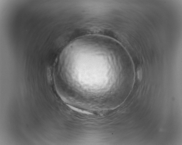 X0000070231347200606091706