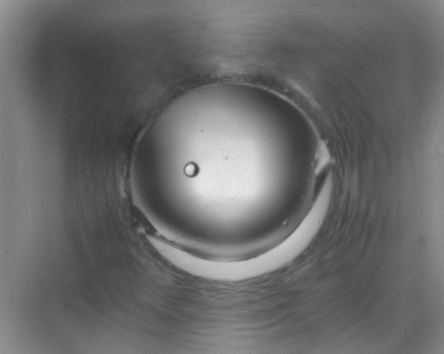 X0000070231348200606091706