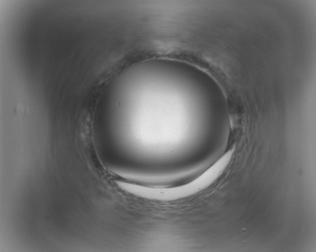 X0000070231349200606091706