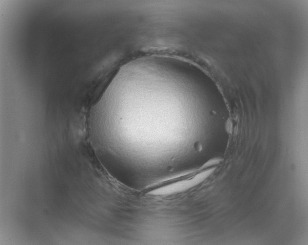 X0000070231350200606091706