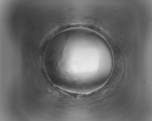 X0000070231351200606091706