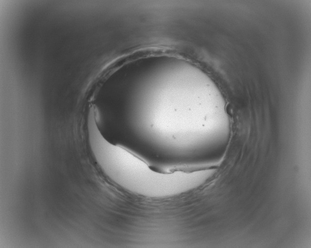 X0000070231352200606091706