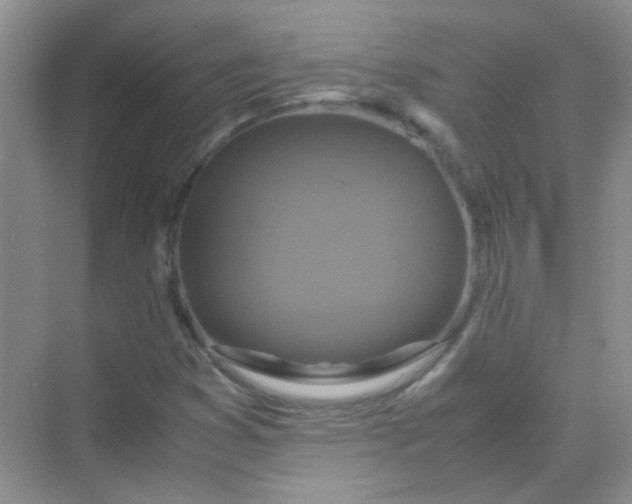 X0000070231353200606091706