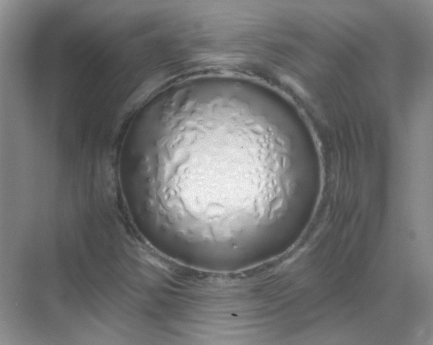 X0000070231354200606091706