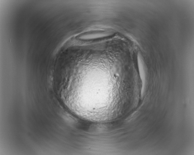 X0000070231355200606091706