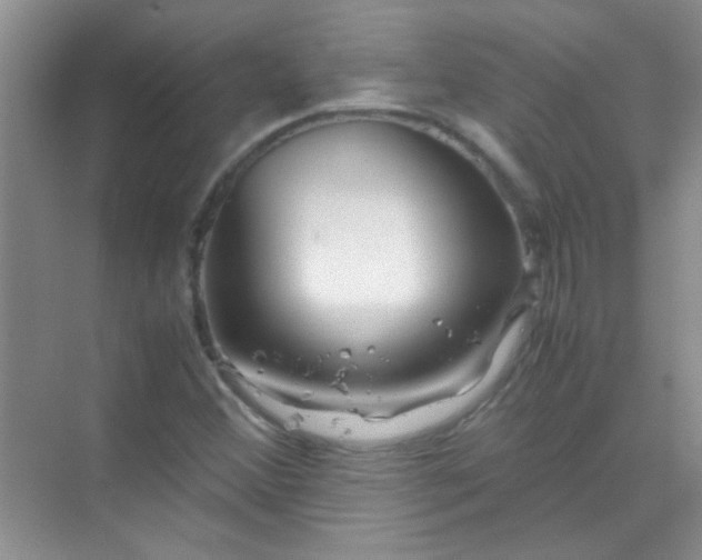 X0000070231356200606091706