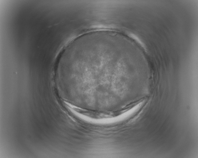 X0000070231357200606091706