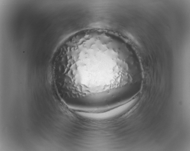 X0000070231358200606091706