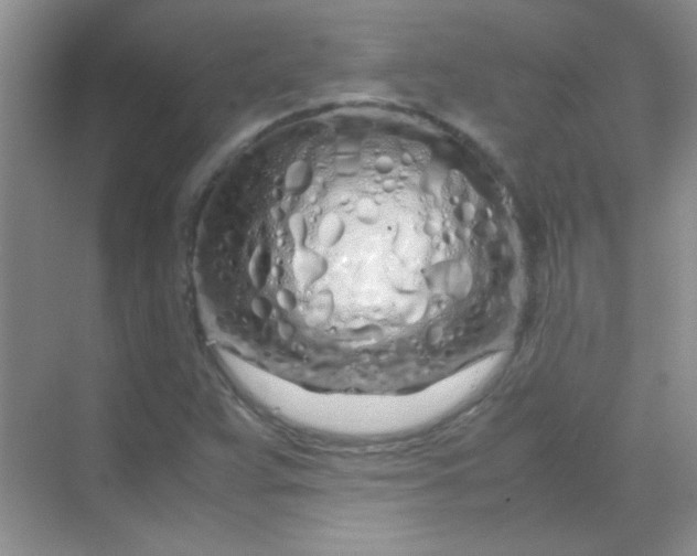 X0000070231359200606091706