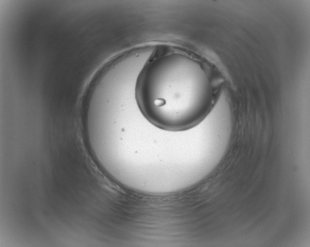 X0000070231360200606091706