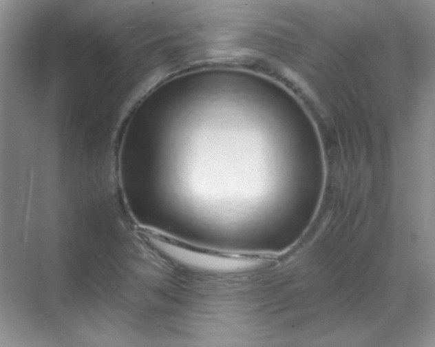 X0000070231362200606091706