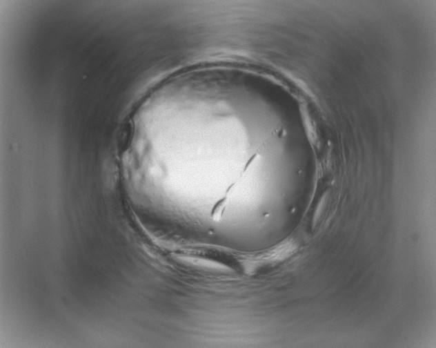 X0000070231363200606091706