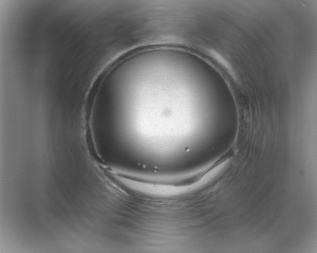 X0000070231364200606091706