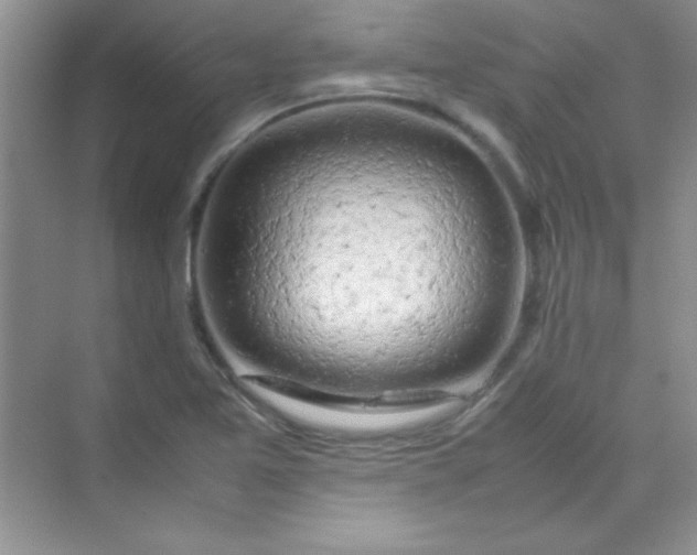 X0000070231365200606091706