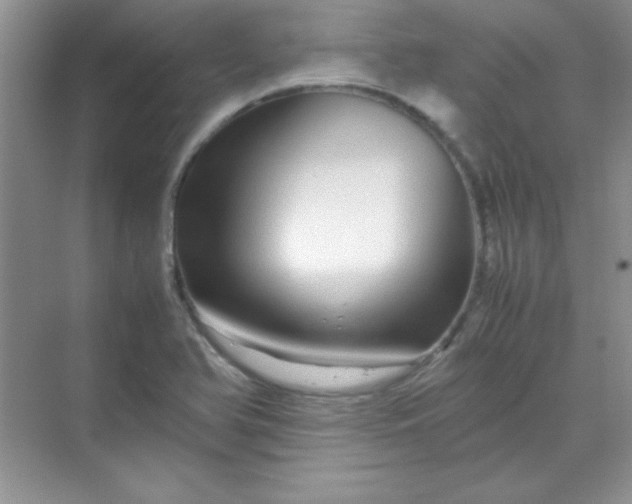 X0000070231366200606091706