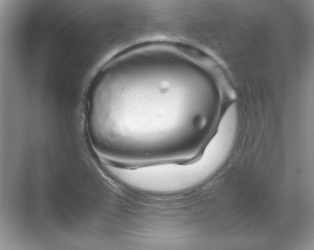 X0000070231367200606091706