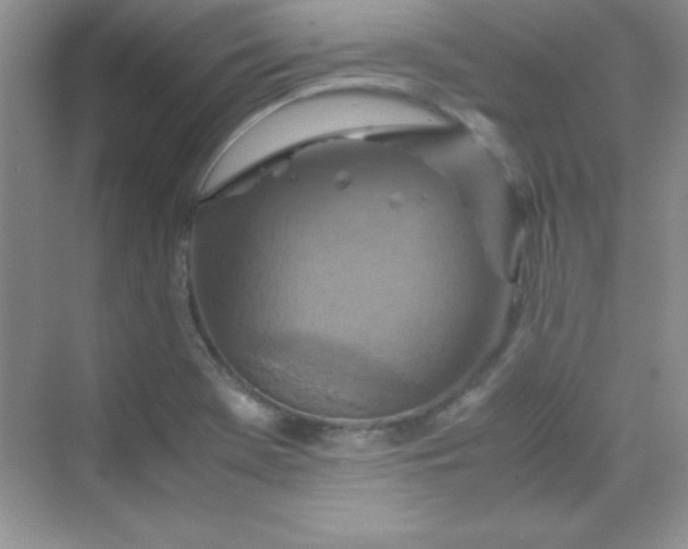 X0000070231369200606091706