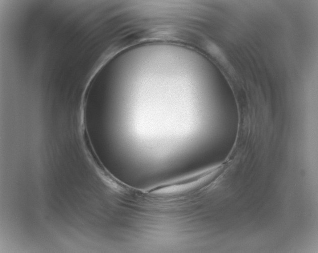 X0000070231370200606091706